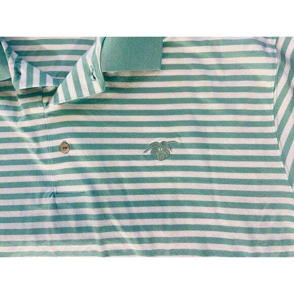 Ben Hogan Men's Mint Green Striped Polo Collared Short Sleeve Medium - Picture 3 of 9